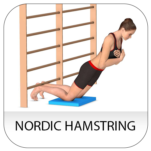 nordic hamstring